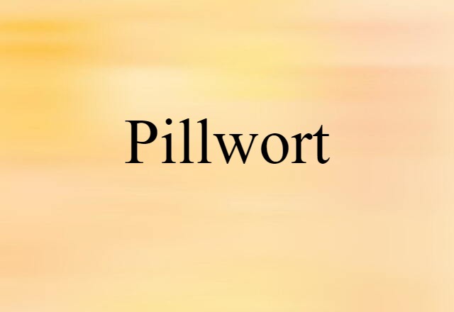 Pillwort (noun) Definition, Meaning & Examples