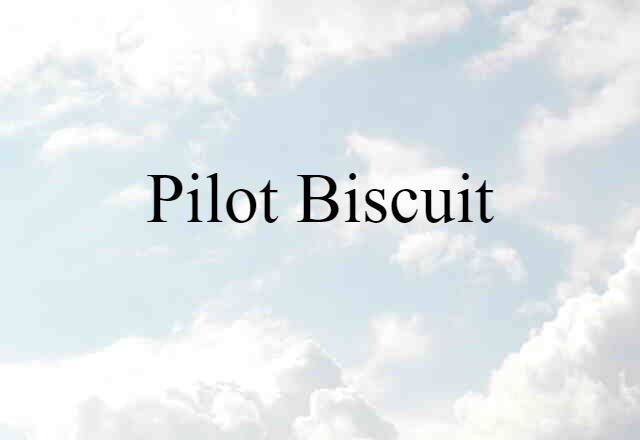 pilot biscuit