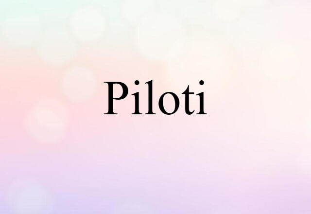 Piloti (noun) Definition, Meaning & Examples