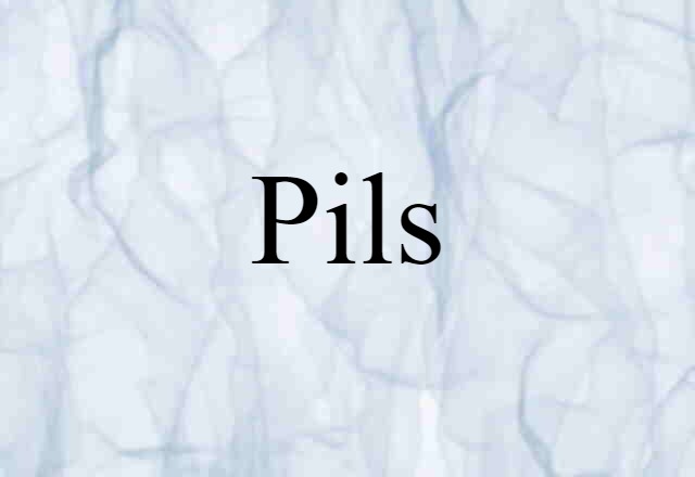 Pils (noun) Definition, Meaning & Examples