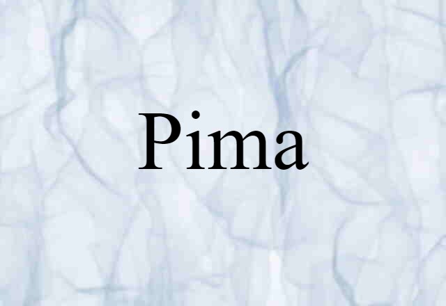 Pima (noun) Definition, Meaning & Examples