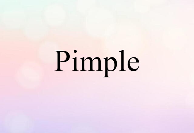 Pimple (noun) Definition, Meaning & Examples