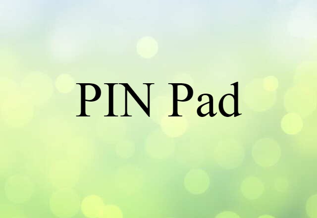 PIN Pad (noun) Definition, Meaning & Examples