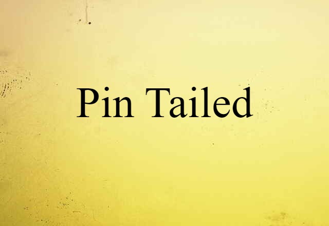 Pin-tailed (noun) Definition, Meaning & Examples