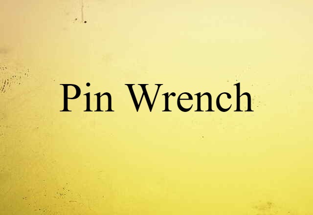 Pin Wrench (noun) Definition, Meaning & Examples