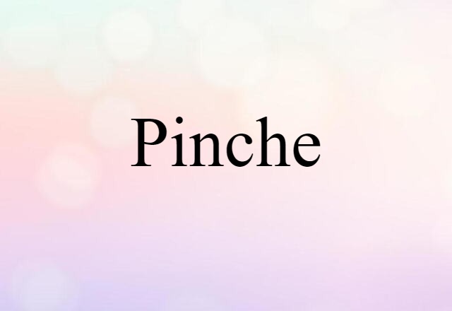 Pinche (noun) Definition, Meaning & Examples