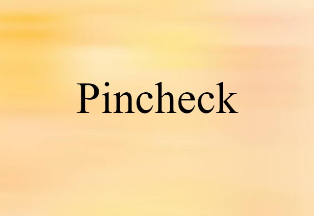 Pincheck (noun) Definition, Meaning & Examples