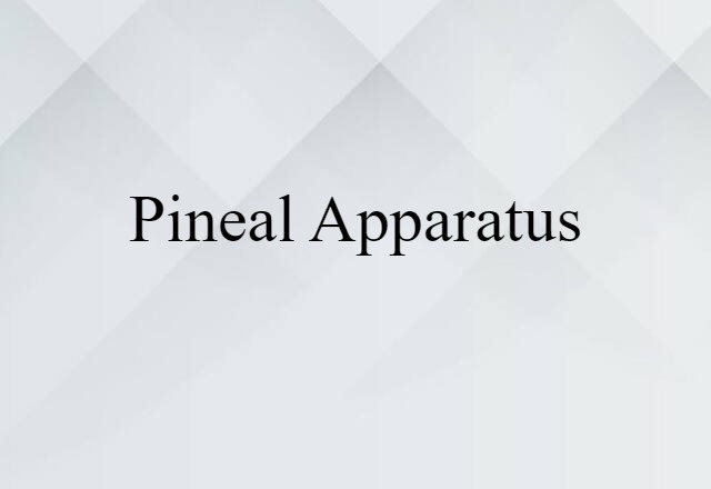 Pineal Apparatus (noun) Definition, Meaning & Examples