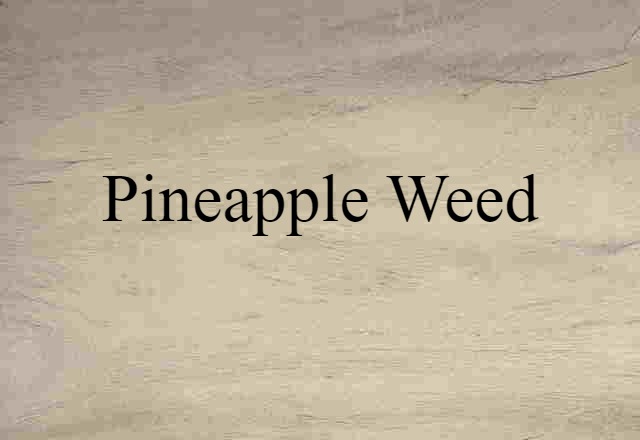 pineapple weed