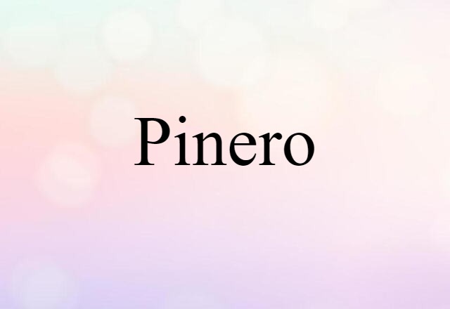 Pinero (noun) Definition, Meaning & Examples