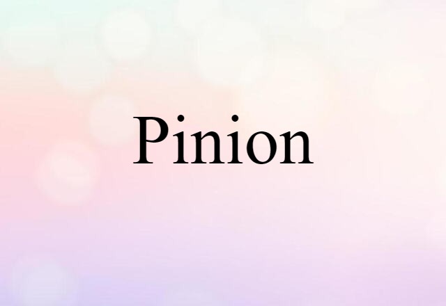 Pinion (noun) Definition, Meaning & Examples