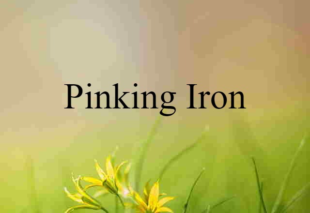 pinking iron