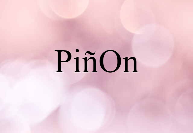 Piñon (noun) Definition, Meaning & Examples