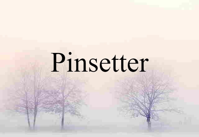 Pinsetter (noun) Definition, Meaning & Examples