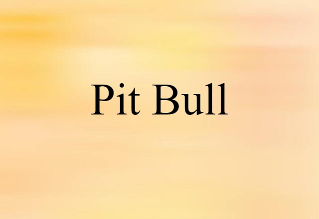 pit bull