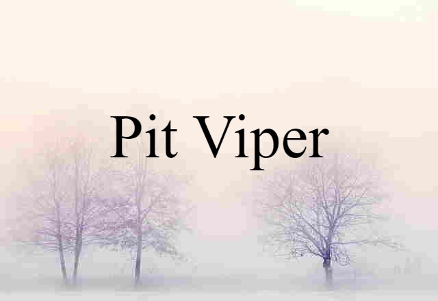 pit viper