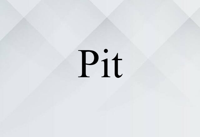 Pit (noun) Definition, Meaning & Examples