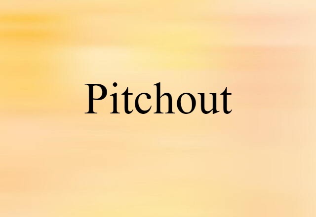 Pitchout (noun) Definition, Meaning & Examples