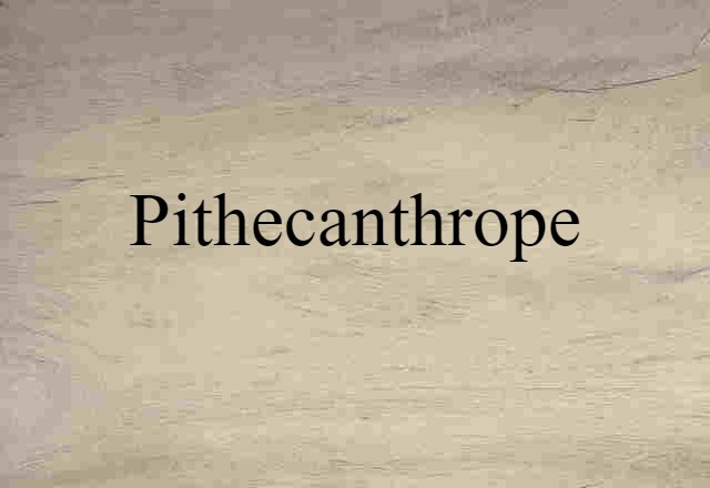 Pithecanthrope (noun) Definition, Meaning & Examples