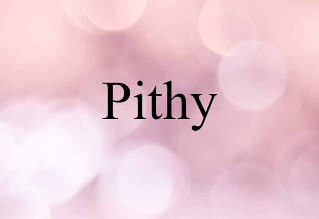 Pithy (noun) Definition, Meaning & Examples