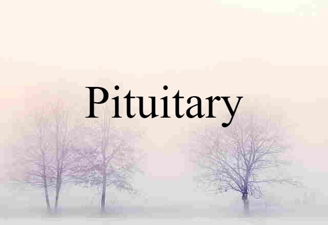 pituitary