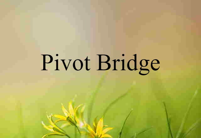 Pivot Bridge (noun) Definition, Meaning & Examples