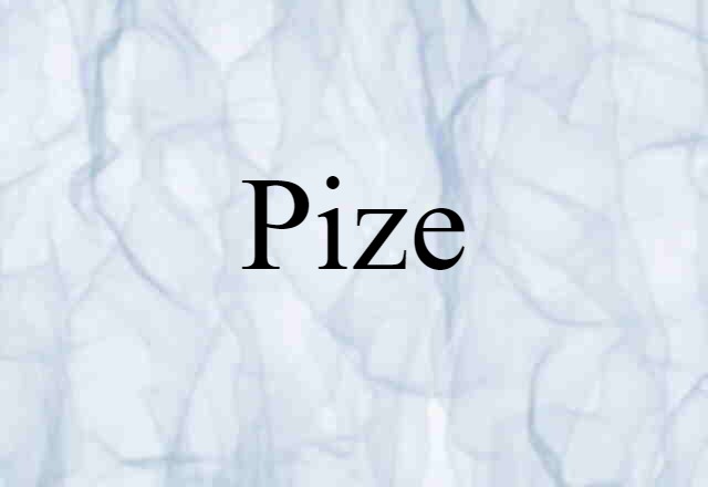 Pize (noun) Definition, Meaning & Examples