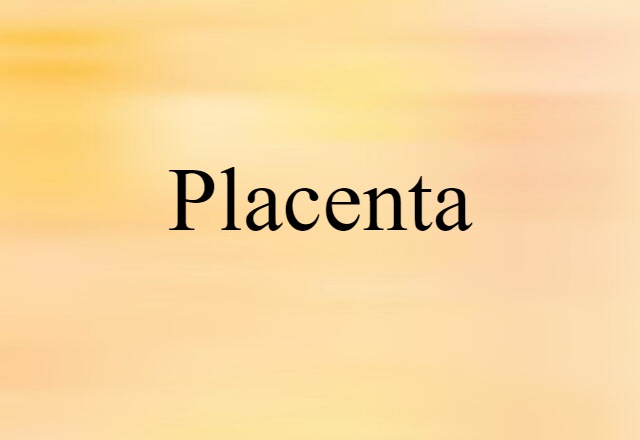 placenta