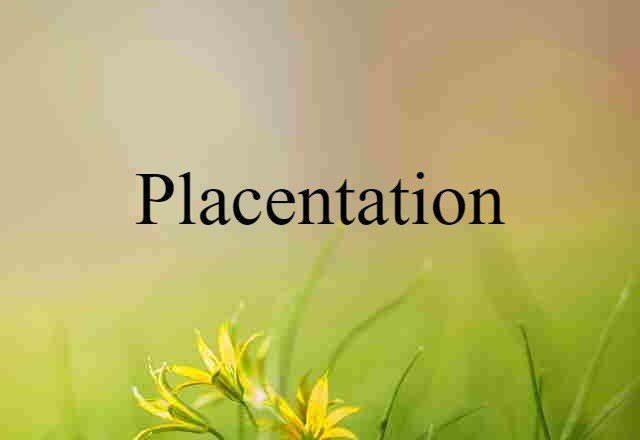 placentation