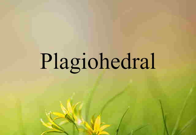 plagiohedral