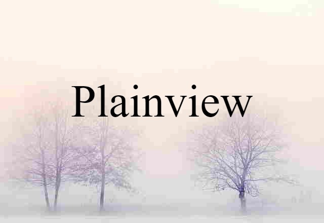 Plainview (noun) Definition, Meaning & Examples