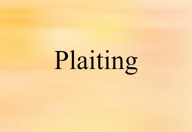 Plaiting (noun) Definition, Meaning & Examples