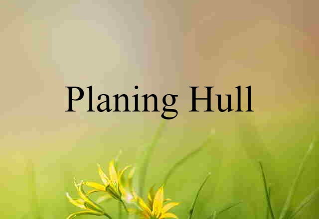 Planing Hull (noun) Definition, Meaning & Examples