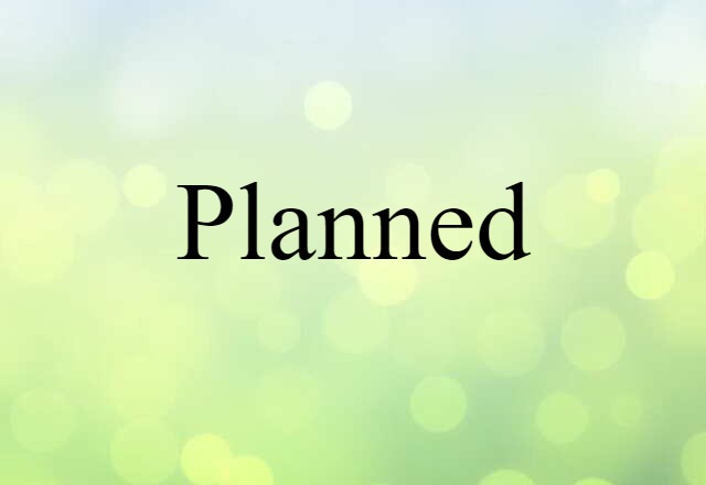 Planned (noun) Definition, Meaning & Examples