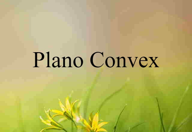 plano-convex