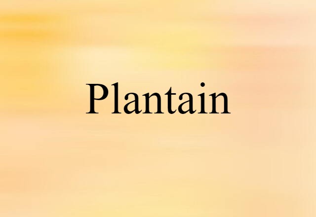 Plantain (noun) Definition, Meaning & Examples