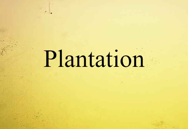 Plantation (noun) Definition, Meaning & Examples