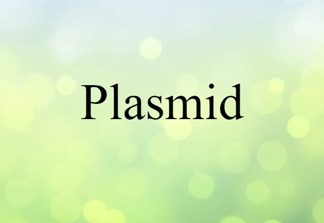 plasmid