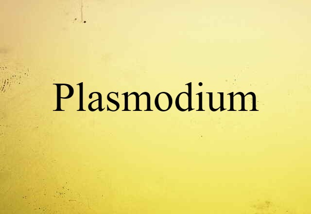 Plasmodium (noun) Definition, Meaning & Examples