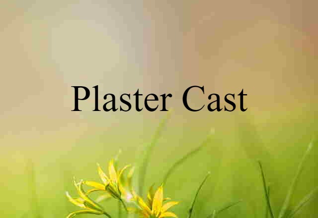 plaster cast