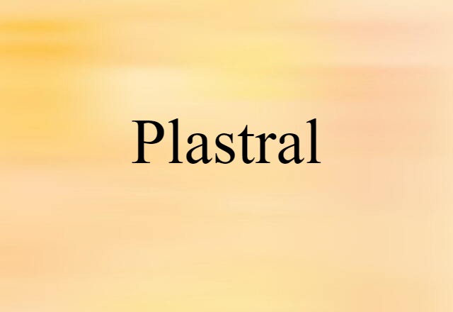 Plastral (noun) Definition, Meaning & Examples