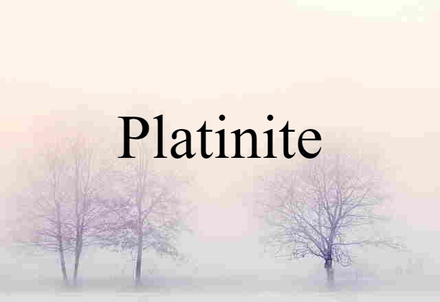 Platinite (noun) Definition, Meaning & Examples