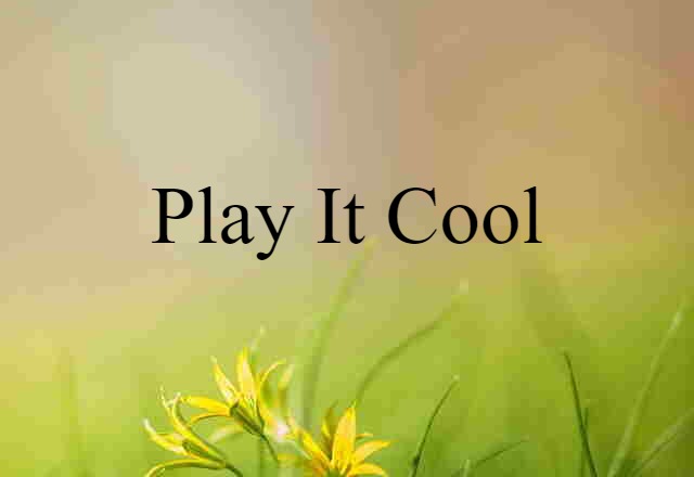 Play It Cool (noun) Definition, Meaning & Examples