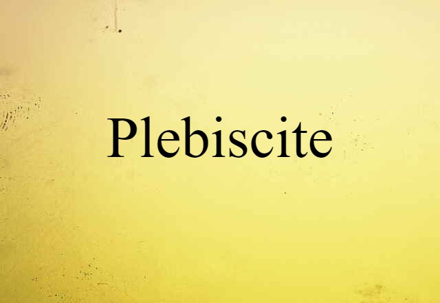 Plebiscite (noun) Definition, Meaning & Examples