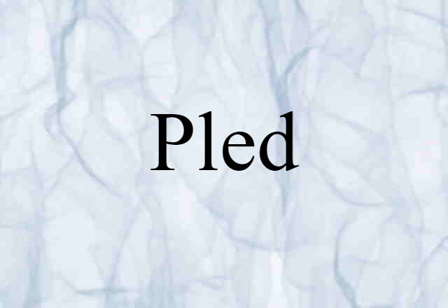 Pled (noun) Definition, Meaning & Examples