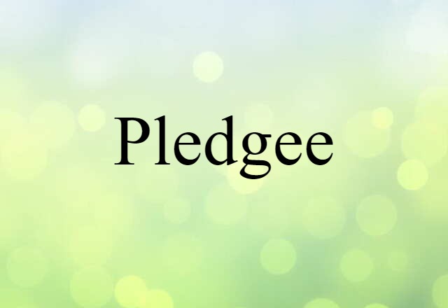 Pledgee (noun) Definition, Meaning & Examples