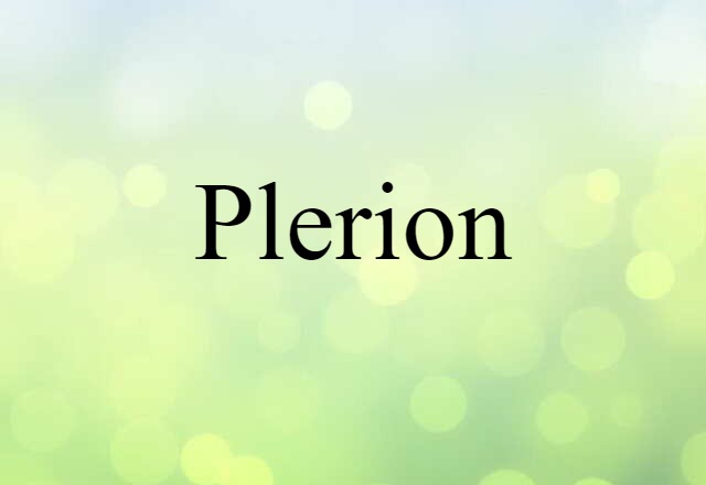 Plerion (noun) Definition, Meaning & Examples