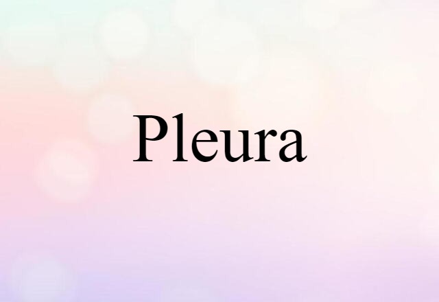 pleura