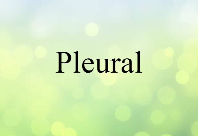 Pleural (noun) Definition, Meaning & Examples