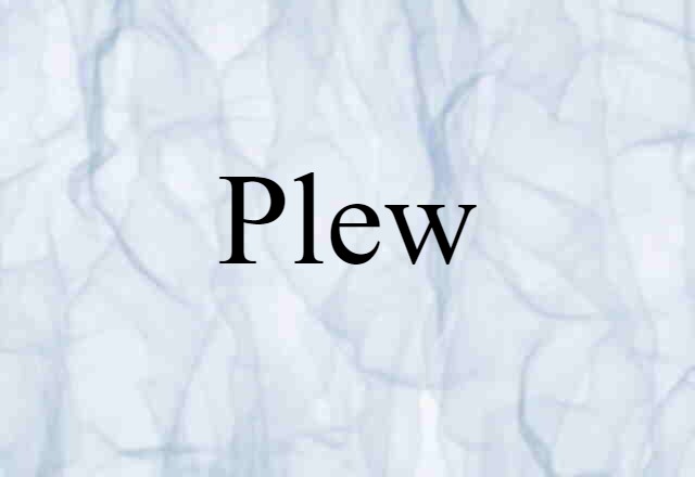 Plew (noun) Definition, Meaning & Examples